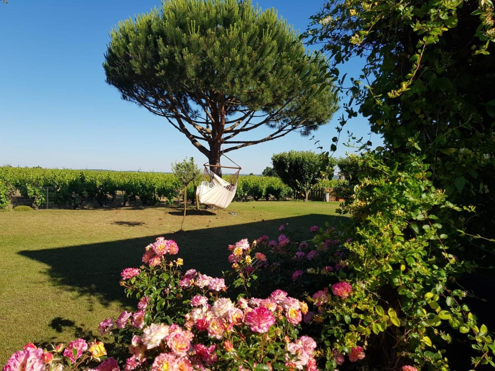 Entre Loire Et Vignobles Bed & Breakfast Lire ภายนอก รูปภาพ